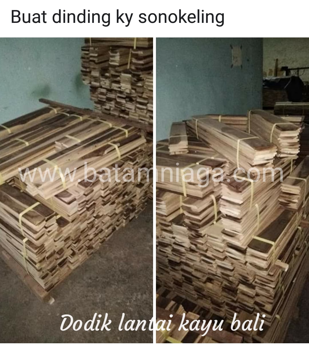 kayu bali12