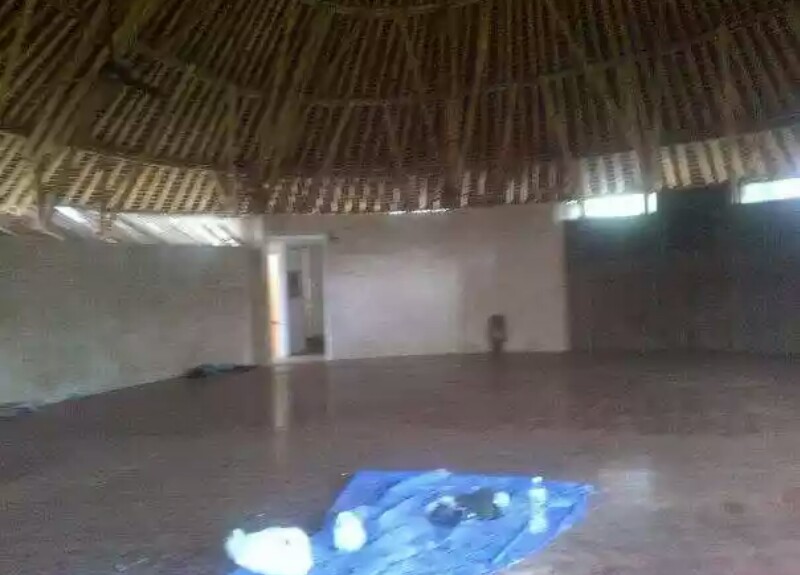 kayu bali17