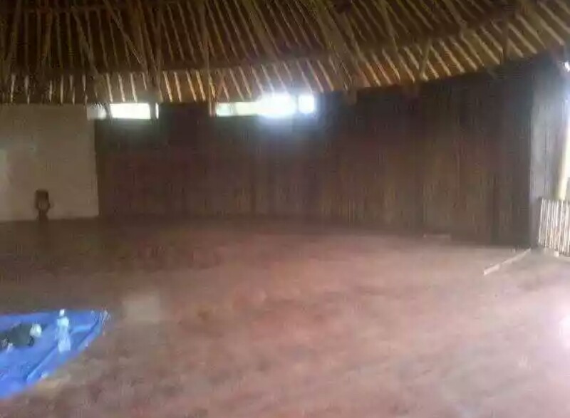 kayu bali18