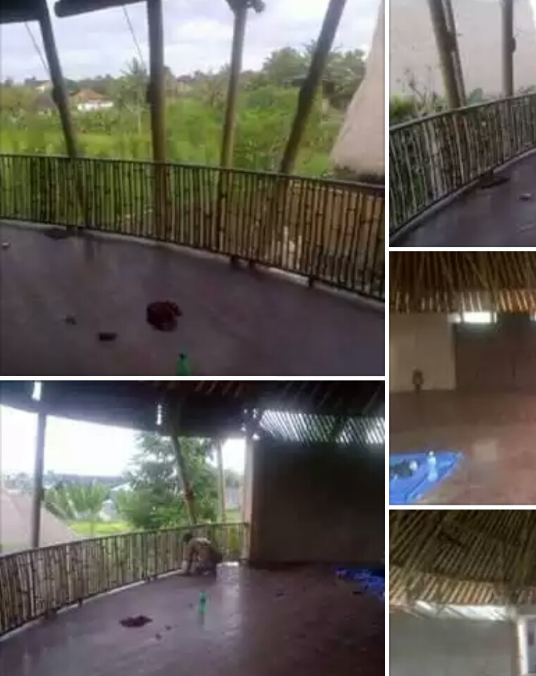 kayu bali28