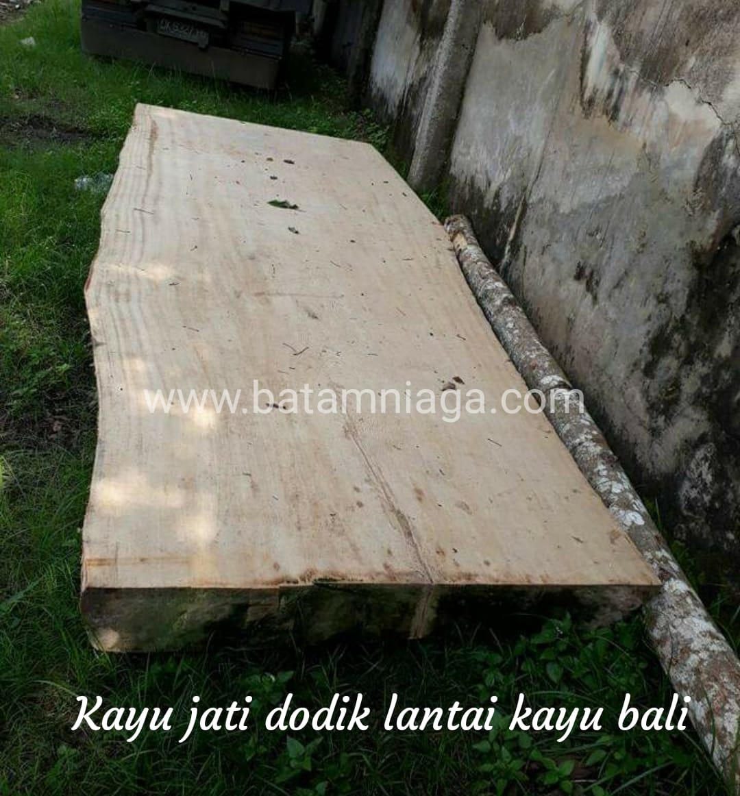 kayu bali3