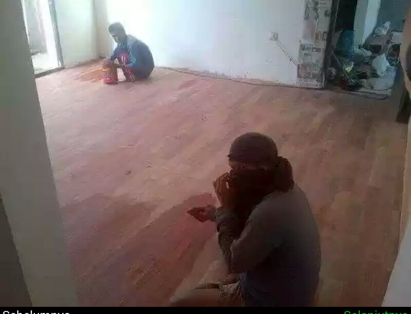 kayu bali33