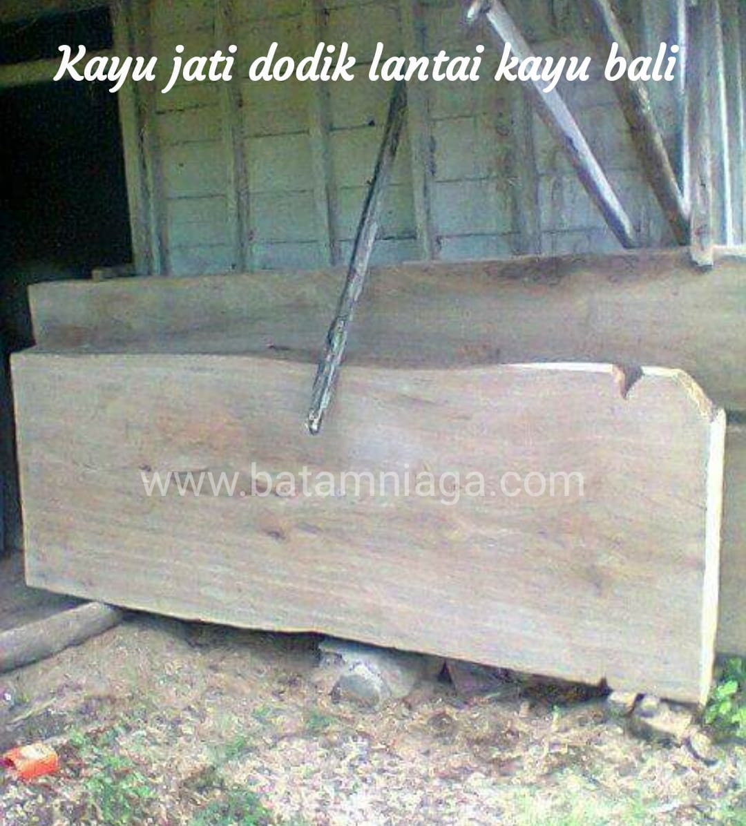 kayu bali6